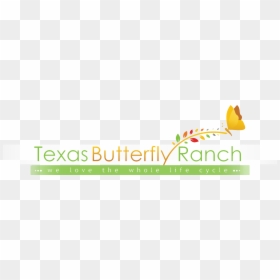 Graphic Design, HD Png Download - butterfly border png