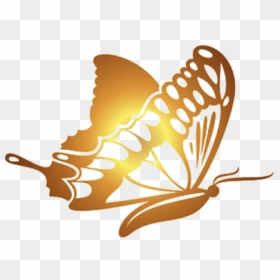 Golden Butterfly Vector Png, Transparent Png - butterfly border png