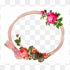 Garden Roses, HD Png Download - butterfly border png