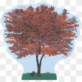 Maple, HD Png Download - japanese tree png