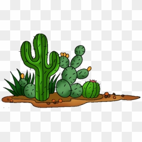 Cactus Cliparts, HD Png Download - saguaro png