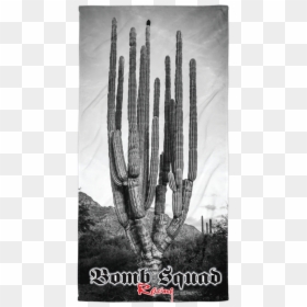 San Pedro Cactus, HD Png Download - saguaro png