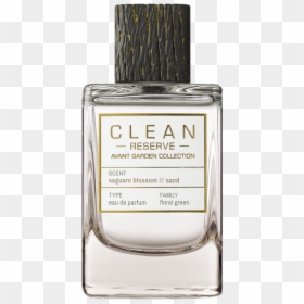 Clean Fragrances, HD Png Download - saguaro png