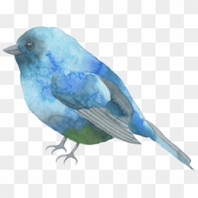 Blue Bird Watercolor Png, Transparent Png - blue feather png
