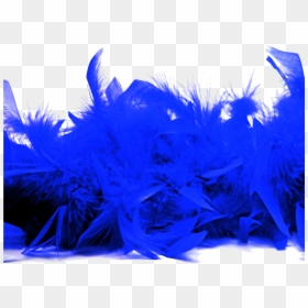 Cobalt Blue, HD Png Download - blue feather png