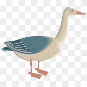 Angsa Png, Transparent Png - blue feather png