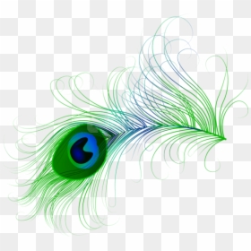 Transparent Peacock Feather Png, Png Download - blue feather png