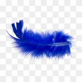 Feather, HD Png Download - blue feather png