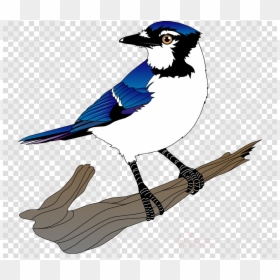 Toyota Supra Logo Png, Transparent Png - blue feather png