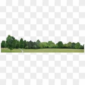 Landscape Trees Background Png, Transparent Png - line background png