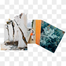 Birch, HD Png Download - katarina png