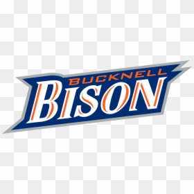 Bucknell Bison Basketball, HD Png Download - m bison png