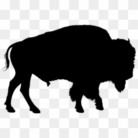 Bison Silhouette, HD Png Download - m bison png