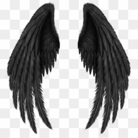 Angel Wings Black Png, Transparent Png - fairy wing png