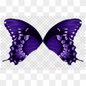 Butterfly Wings No Background, HD Png Download - fairy wing png