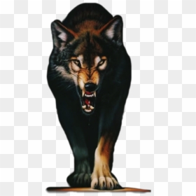 Wolf Iphone Cool Backgrounds, HD Png Download - angry wolf png
