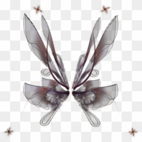 Membrane-winged Insect, HD Png Download - fairy wing png