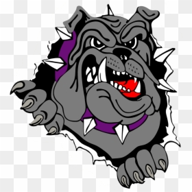 Bulldog Png, Transparent Png - angry wolf png