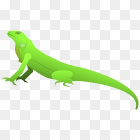 Carolina Anole, HD Png Download - lizard tongue png