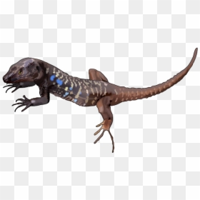 Lagarto Gigante Del Hierro Png, Transparent Png - lizard tongue png