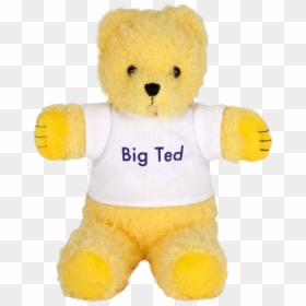 Big Ted Beanie Plush , Png Download - Big Ted Play School, Transparent Png - ted png