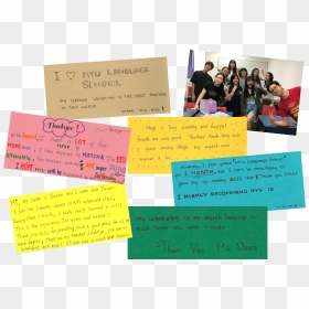 Document, HD Png Download - nyu png