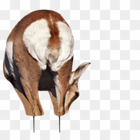Montana Decoy Co. Antelope Buck And Doe Combo Decoy, HD Png Download - antelope png