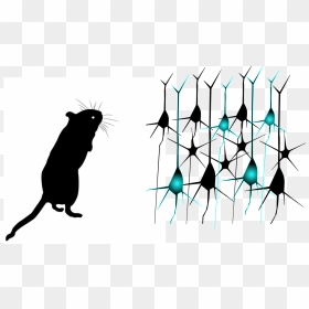 Mouse Silhouette, HD Png Download - nyu png