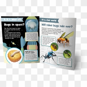 Brochure, HD Png Download - bug eyes png