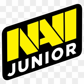 Navi Junior Cs Go, HD Png Download - cs go awp png