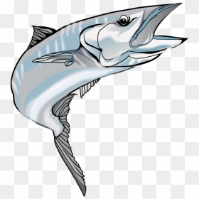 Kingfish Png Image - King Fish Clip Art, Transparent Png - marlin png
