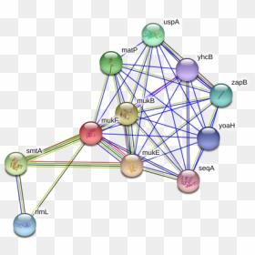 Mukf Protein, HD Png Download - muk png