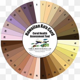 Hawaiian Koa Card, HD Png Download - crosshair .png