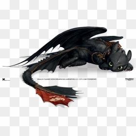 Training Clipart Train The Trainer - Train Your Dragon Png, Transparent Png - trainer png