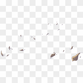 Flock, HD Png Download - aerith png