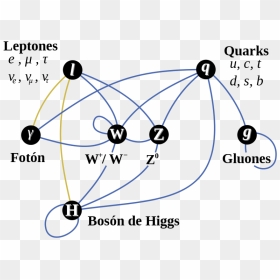 Interacciones Del Modelo Estándar De La Física De Particulas - Standard Model, HD Png Download - particulas png