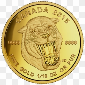 Somalia Elephant 2019 Gold Coin, HD Png Download - scimitar png