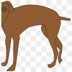 Reggie"s Future Pee Tree - Magyar Agár, HD Png Download - pee png