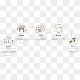 190614 Indes Ziarosa Infografia2 - Circle, HD Png Download - zia png