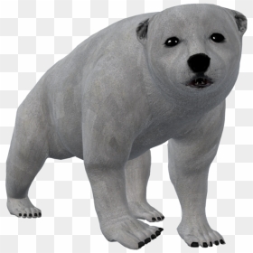 Thumb Image - Polar Bear Png Clipart, Transparent Png - bear cub png
