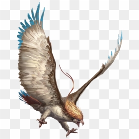 Pidgeot Arvalis - Realistic Bird Pokemon, HD Png Download - pidgeotto png