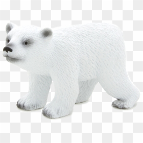 Polar Bear, HD Png Download - bear cub png