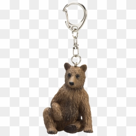 Grizzly Bear, HD Png Download - bear cub png