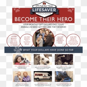 Flyer, HD Png Download - lifesaver png