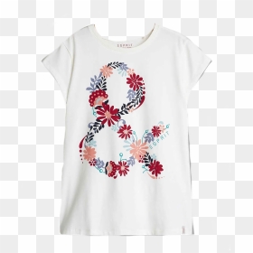 Transparent Camiseta Blanca Png - Tree, Png Download - camiseta png