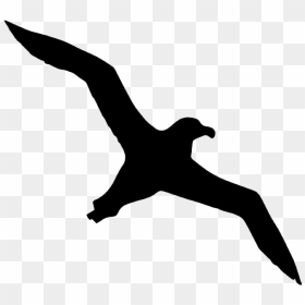 Bird Albatross Icon - Albatross Icon, HD Png Download - bird icon png