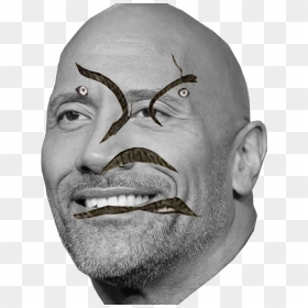 Memes For Biology Students, HD Png Download - the rock face png