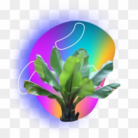 Gradient Net Art Cyberpunk Vaporwave Art Vaporwave - Transparent Tropical Plants Png, Png Download - cyberpunk png