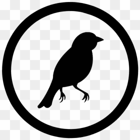 Tool Tip Icon Png, Transparent Png - bird icon png