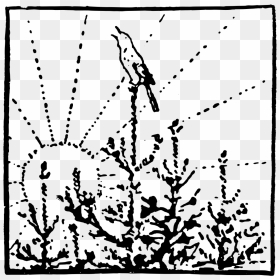 Illustration, HD Png Download - black vignette png